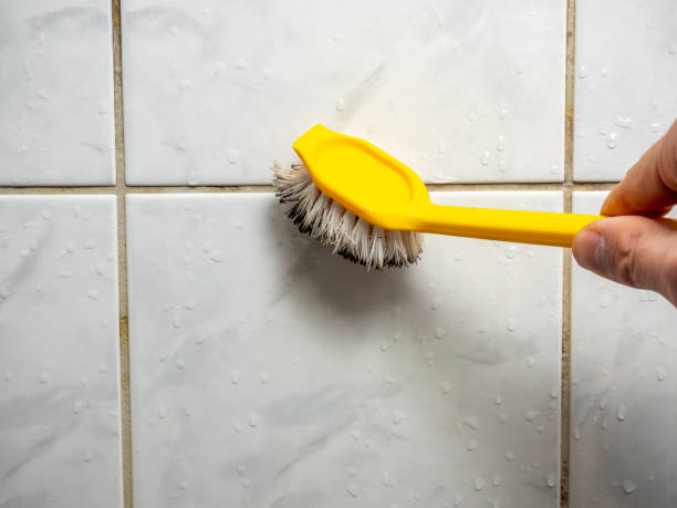 Best Emergency Mold Removal  in Lafayette, TN