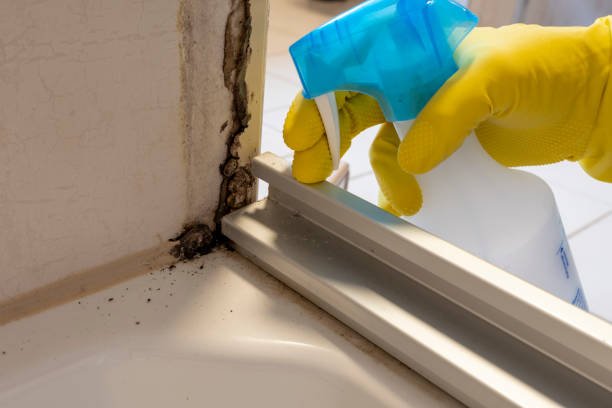 Crawl Space Mold Removal in Lafayette, TN