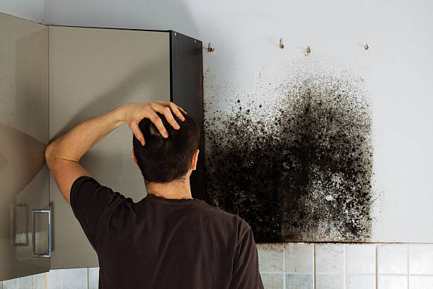 Water Damage Restoration in Lafayette, TN